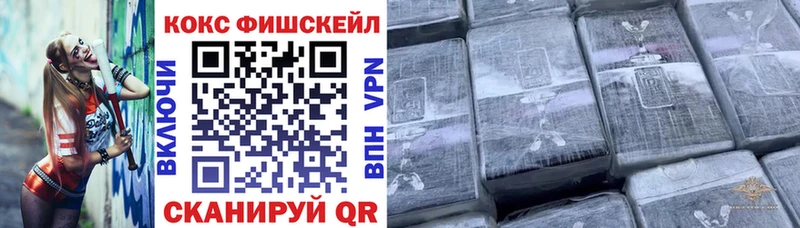 Кокаин FishScale  как найти закладки  Пудож 