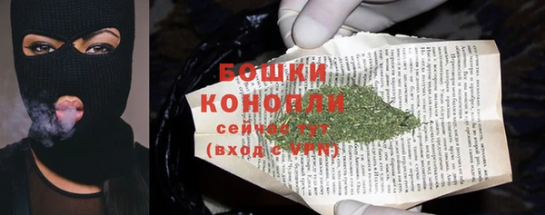 амф Надым