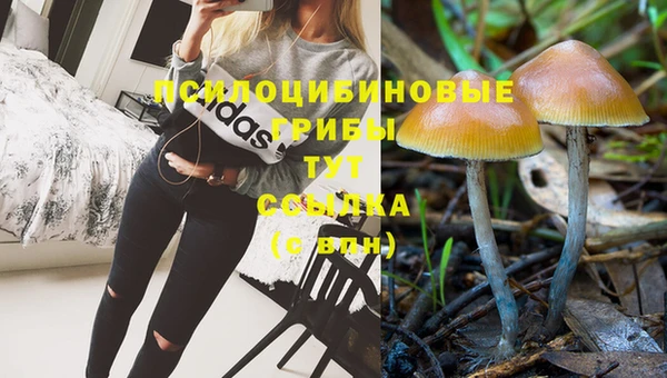 амф Надым