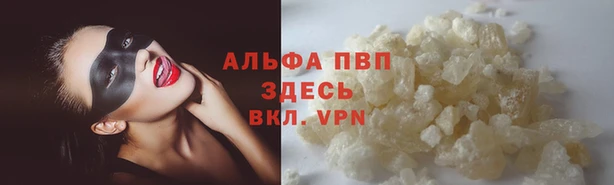 мяу мяу мука Михайлов