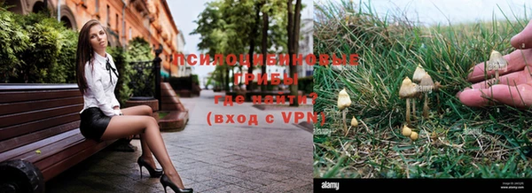 крисы Наволоки