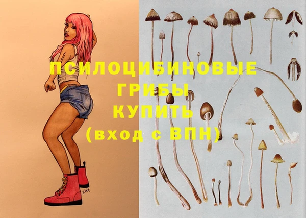 прущая мука Бердск