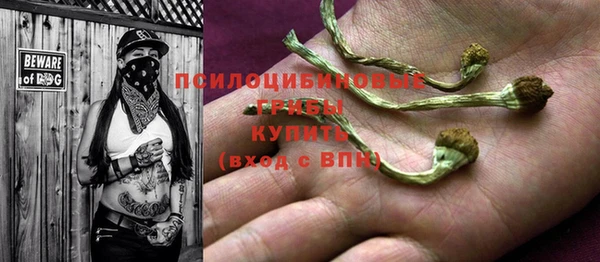 амф Михайловск