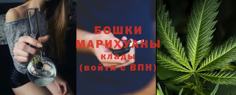 Бошки марихуана OG Kush  Пудож 