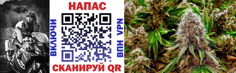 Каннабис OG Kush Пудож